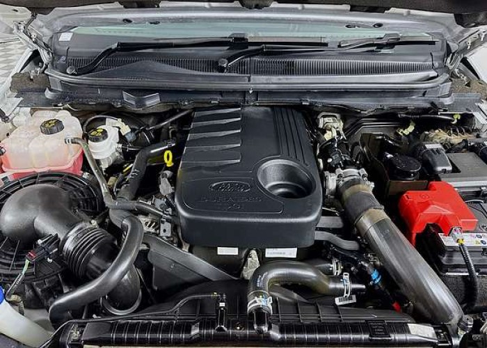 Used 1
                    FORD
                     for Sale Image